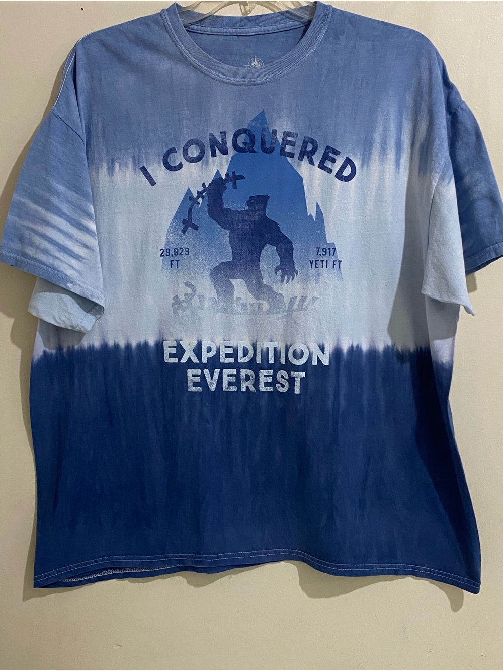 Disney Expedition Everest 'I Conquered' Blue Tie-Dye Men’s Tee